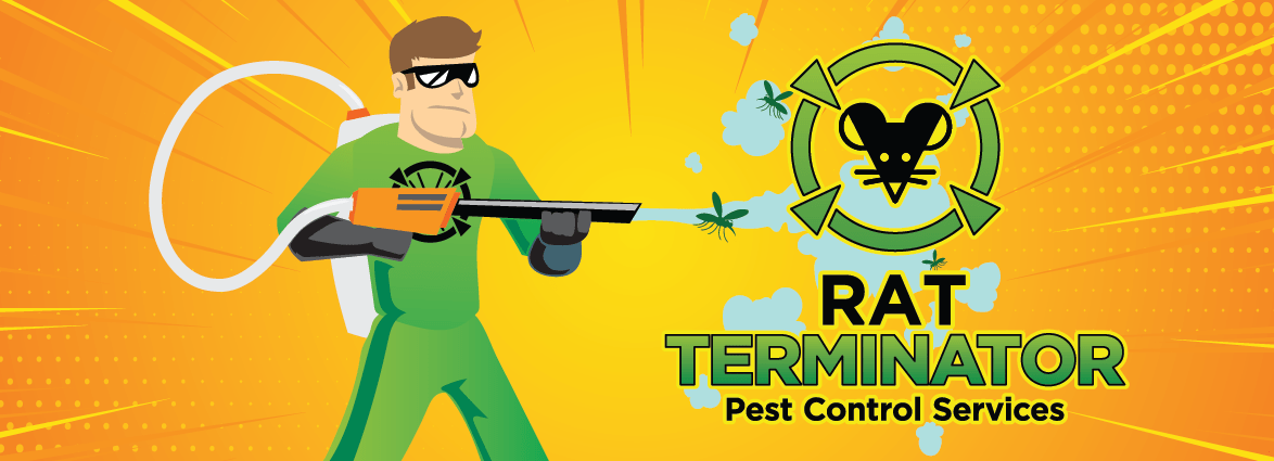 Specialized rat extermination and prevention services to safeguard your property and health from rodents in Barrie.
